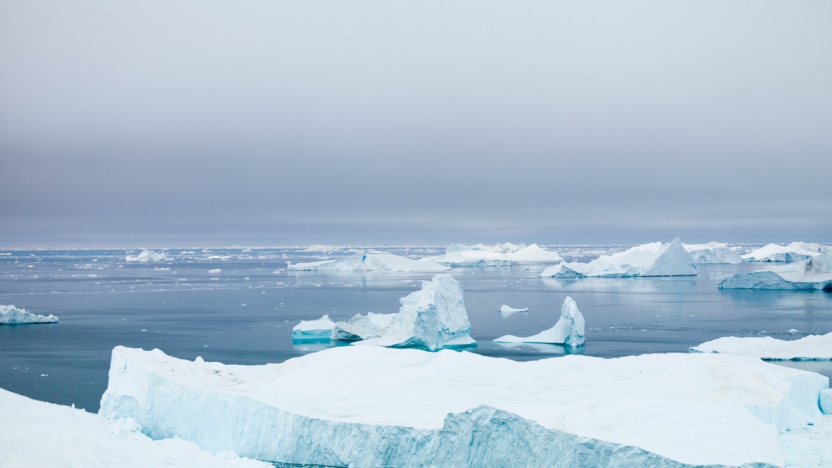 Aisberguri topindu-se în Oceanul Arctic Foto: 123RF