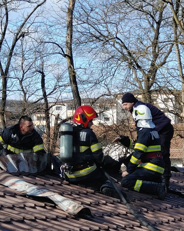 Incendiu la Grădina Zoologică din Râmnicu Vâlcea, la pavilionul unde sunt maimuțele. Animalele au fost evacuate