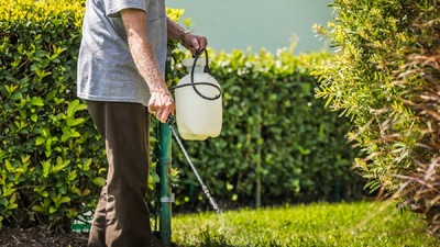 Ce sunt pesticidele- Un bărbat  pulverizează erbicid pe iarbă din curtea casei