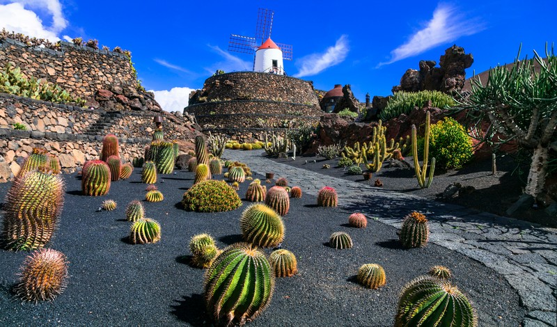 Obiective turistice în Insulele Canare - Grădina Botanică din Lanzarote