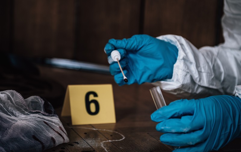 Misterul urmei de pe recamier. Cum a fost elucidată după opt ani o crimă dintr-un sat din Harghita, de o probă ADN găsită în Marea Britanie