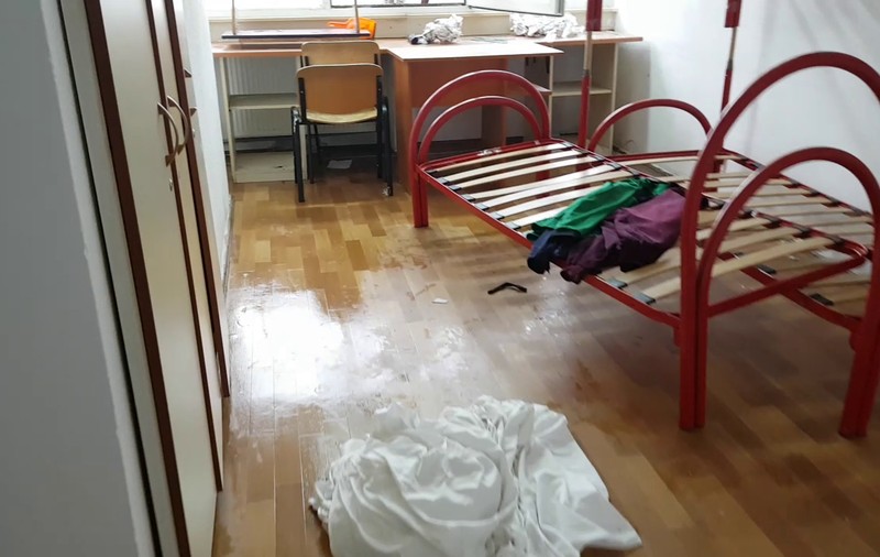 VIDEO | Cazul ”ploşniţe în Căminul LEU”, etapa confruntării. Administratorul îl acuză pe student că el a adus paraziții