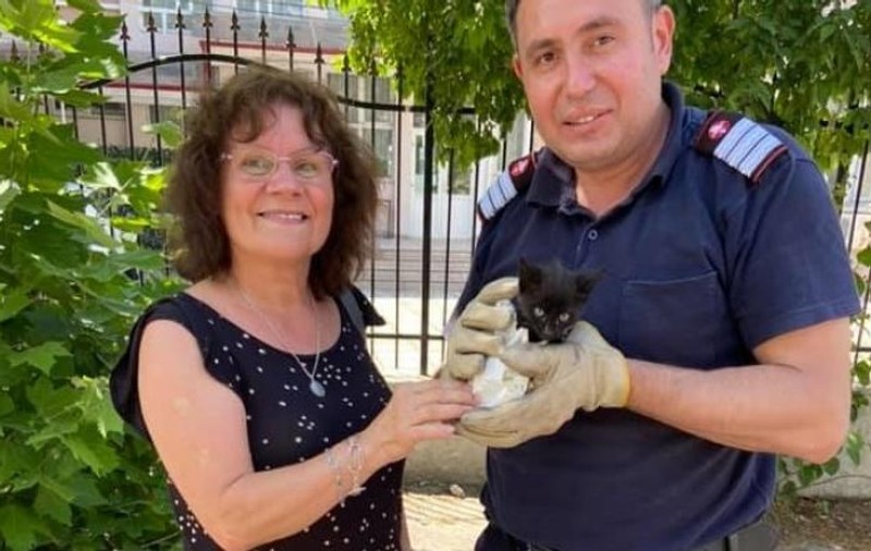 Pui de piscă, salvat dintr-un canal adânc de pompierii din Tulcea. Cum s-a terminat operațiunea