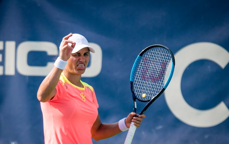 Monica Niculescu și Su-Wei Hsieh au pierdut finala de dublu la Cincinnati