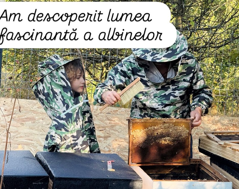 Imagini din gospodăria lui Dragoș Bucur și a Danei Nălbaru. De doi ani trăiesc la țară: „A fost cea mai bună decizie”