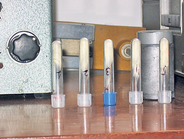 Arhiva foto