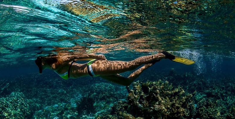 Snokeling pe insula Bonaire