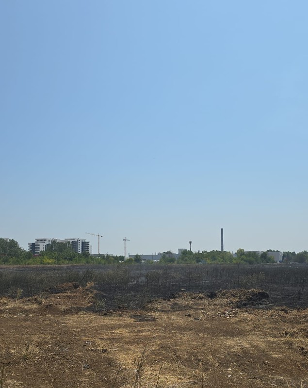 Incendiu în Chiajna. Au ars aproximativ 50.000 mp de vegetație uscată