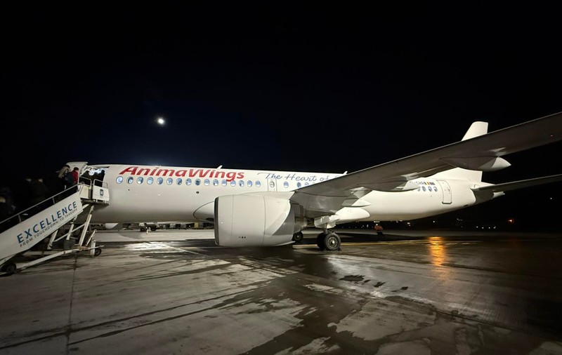 Primul zbor din 2025 pe ruta București – Cluj- Napoca, realizat de un Airbus al companiei aeriene Animawings. Ce rute vor fi disponibile anul acesta 