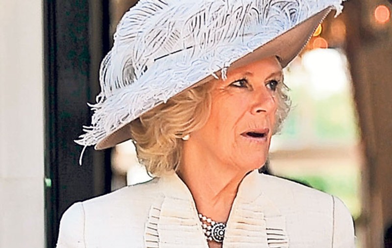 Scandal în cadrul familiei regale britanice | Camilla nu-l vrea pe prințul William rege