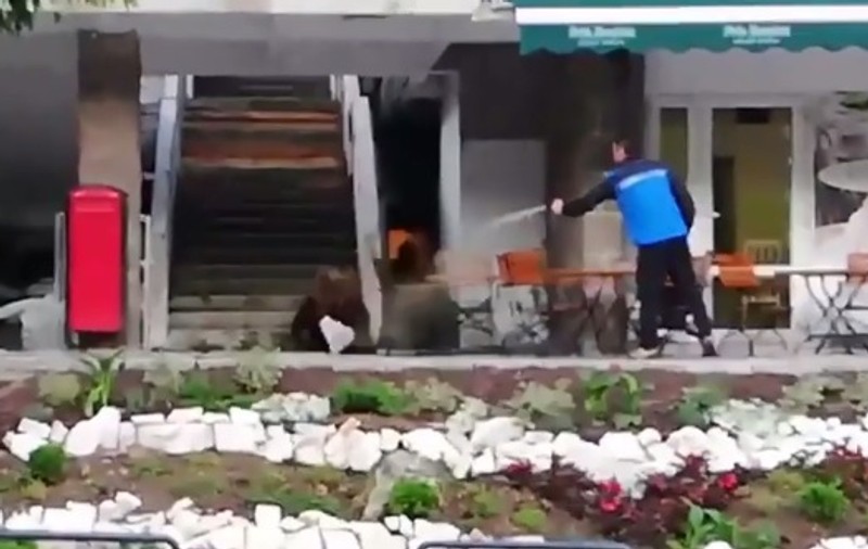 Un urs a fost gonit cu spray lacrimogen dintr-o cofetărie, la Băile Tușnad