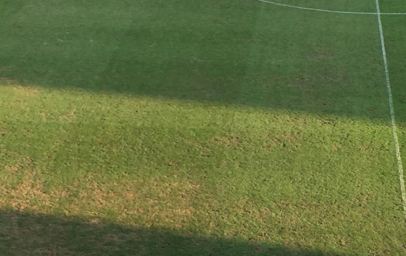 Ce se întâmplă cu gazonul de pe stadionul ”Ilie Oană”. Precizările administratorului: ”Mana a distrus iarba. Montăm rulouri pe 200 mp”. Pe 7 septembrie, la Ploiești se joacă România - Muntenegru, în Liga Națiunilor