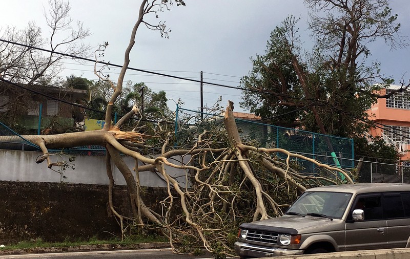 Bilanțul victimelor uraganului Maria din Puerto Rico a crescut de la 64 de morți la aproape 3.000. Cum a fost posibil