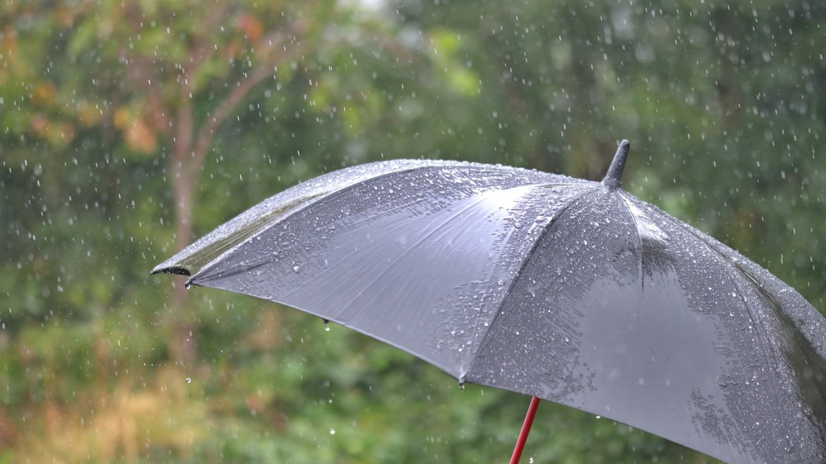 O umbrelă neagră deschisă în ploaie, iar în fundal se văd pomi verzi