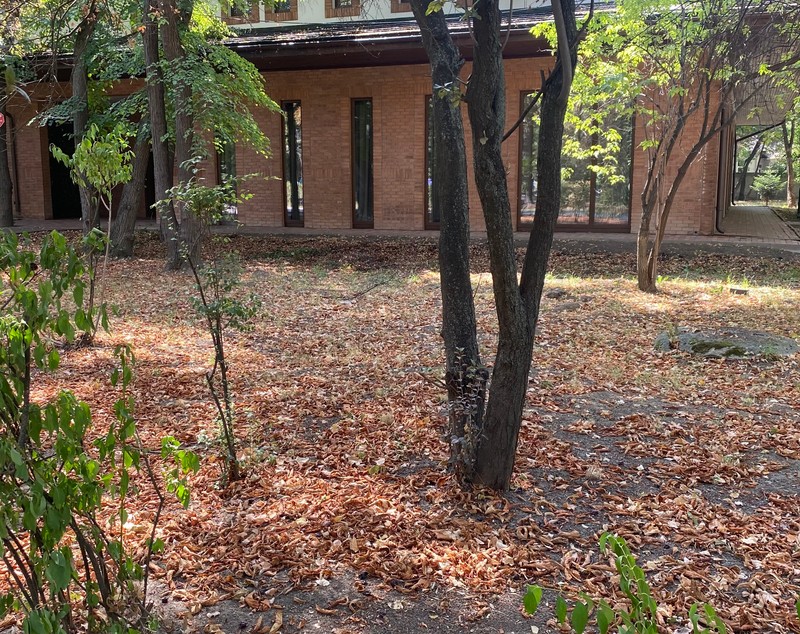 FOTO. Herăstrău, cel mai mare parc al Bucureștiului, arată mai rău ca niciodată. Trandafirii și zonele cu flori sunt istorie, clădirile pentru expoziții au fost vandalizate