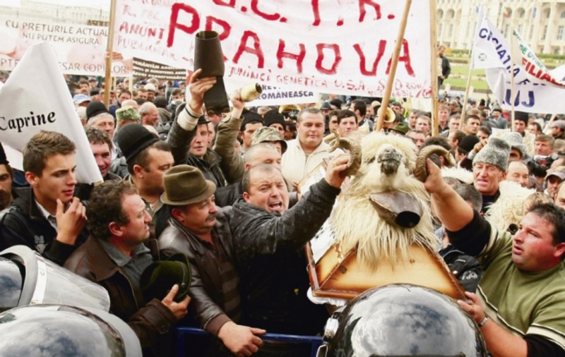 REVOLTA CIOBANILOR la Ministerul Agriculturii