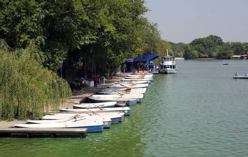 O fetiţă de 10 ani a murit înecată în lacul Herăstrău. A alunecat după ce a încercat să se spele pe mâini