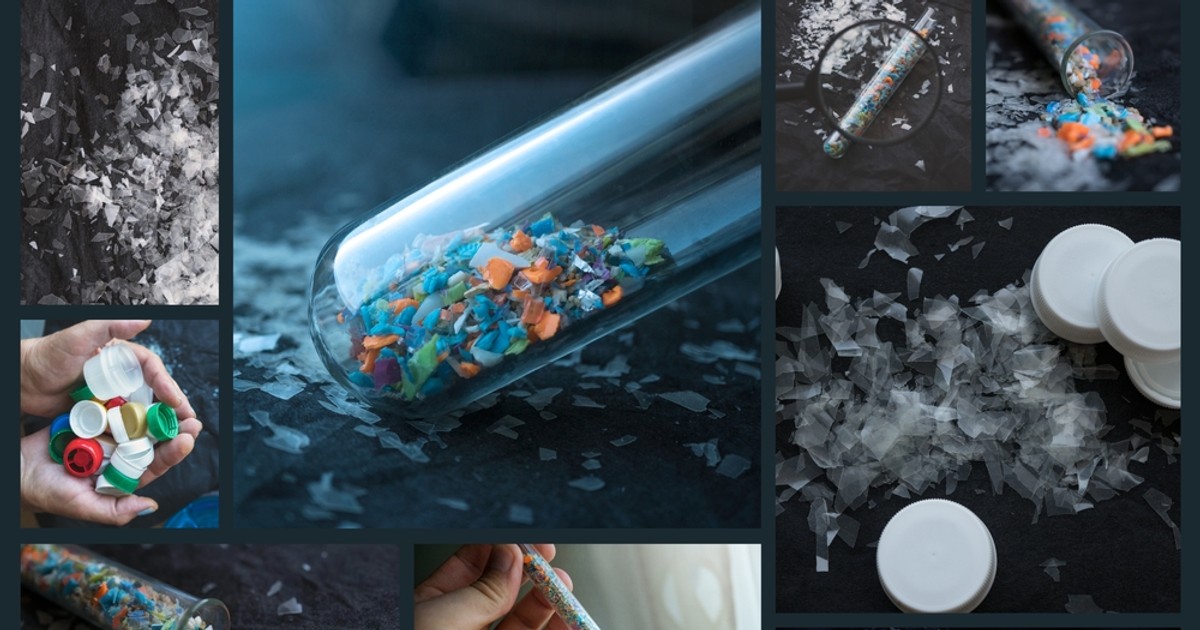 Ce este microplasticul şi cum ne afectează - Colaj de imagini cu efectele poluării cu microplastic
