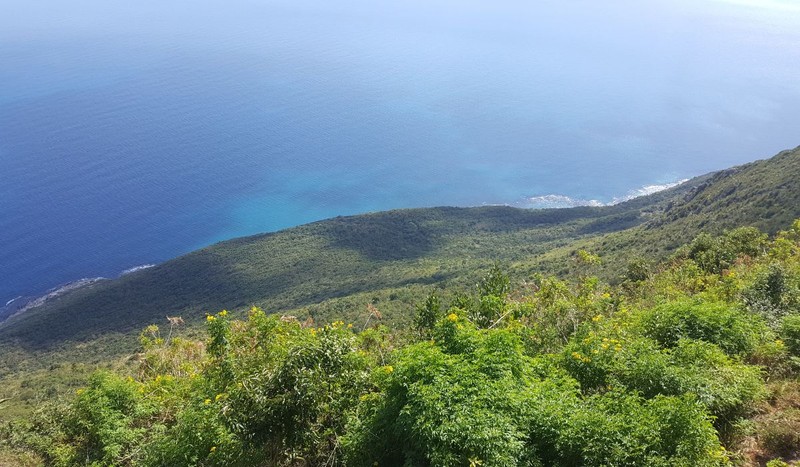 Lovers Leap, Jamaica, înainte de uraganul Melissa. Foto: Shutterstock