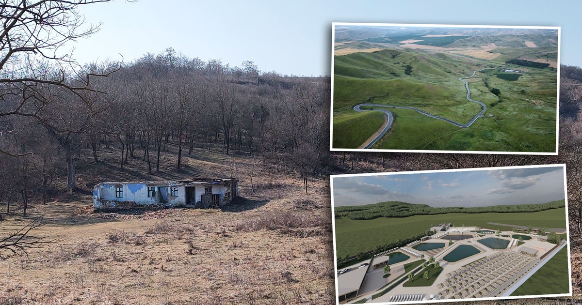 Colaj catun ocnișoara 20 de locuitori casa parasita