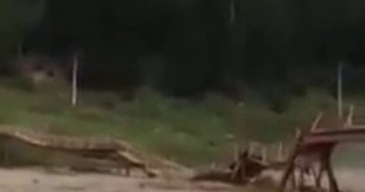 Un pod a fost distrus de viitură în zona Frasin-Moldovița. E al doilea pod distrus din cauza inundațiilor