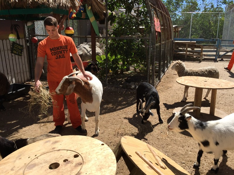 Grădină zoologică îngrijită de deținuți
