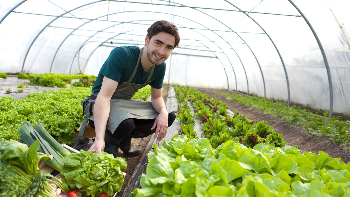 angajarea tinerilor în agricultură
