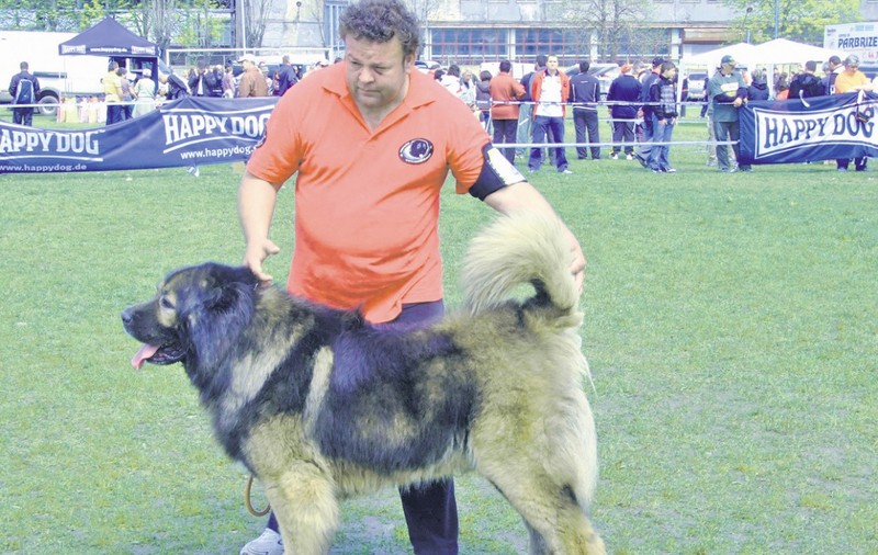 Câinele acesta valorează 20.000 €