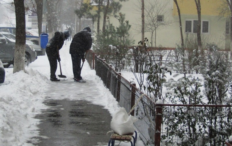 Voluntarii din sectorul 2 au deszăpezit spitalele