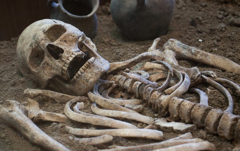 Scheletul unui „gigant”, descoperit într-o groapă comună din epoca vikingilor în Anglia