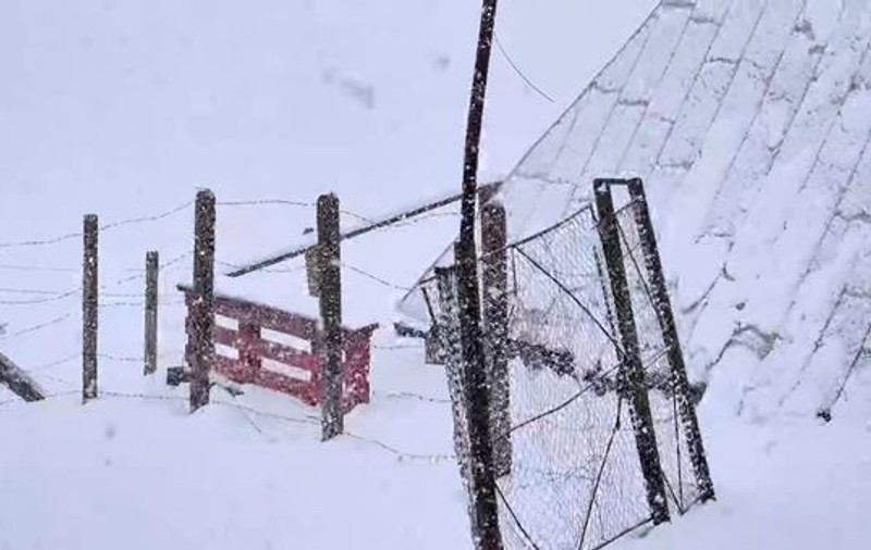Peisaj de iarnă pe platoul Bucegi, aproape de jumătatea lunii mai. A nins abundent și s-a depus zăpadă