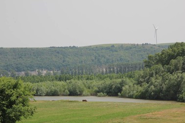 Balta Geraiului, imagine de dinainte de incendiu | Foto: Primăria Islaz