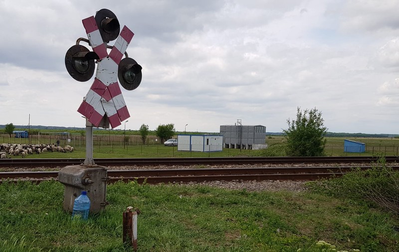 Sindicatul Poliției Locale, după tragedia din Prahova: “De trei ani nu funcționează sistemul de avertizare audio de la trecerea de cale ferată”