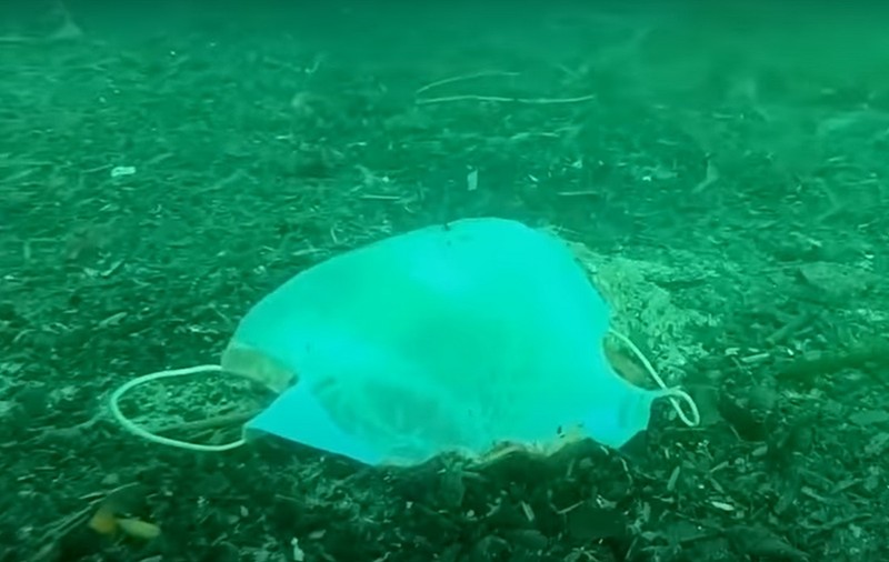 Peste 1,5 miliarde de măști sanitare vor polua oceanele, avertizează un grup de ecologiști
