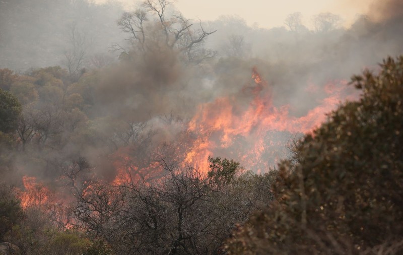 Incendiu major de vegetație în Alba. Focul, localizat în proporţie de 75%, a pârjolit 50 de hectare