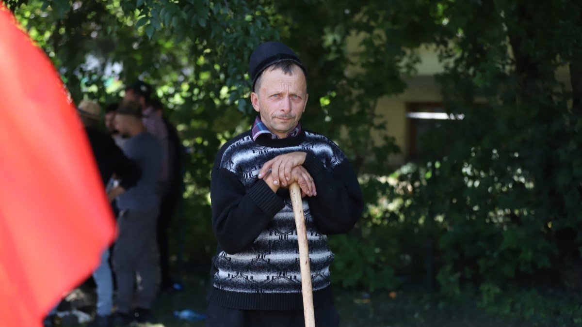 Ciobanul Liviu din Bihor, un bărbat cu un pulover albastru de lână, lângă un gard viu din București. Își ține capul sprijinit într-un toiag