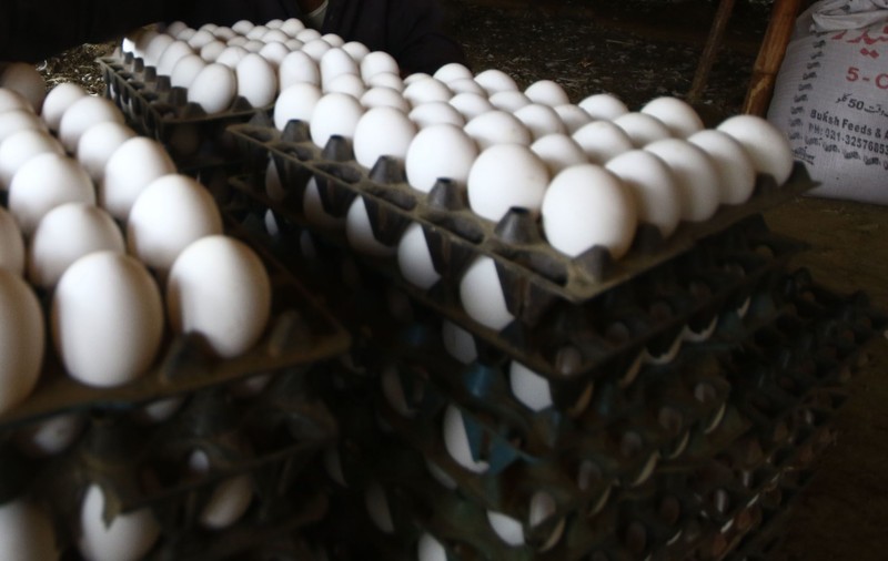 Alertă în România, în Ajunul Anului Nou: Peste 300.000 de ouă cu salmonella, identificate și retrase de pe piaţă!