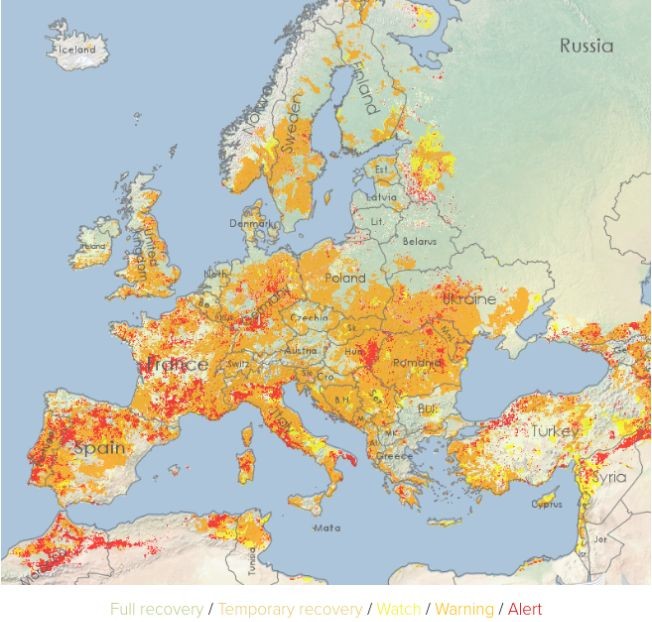 Seceta afectează mare parte din Europa în acest moment. Sursa: Politico