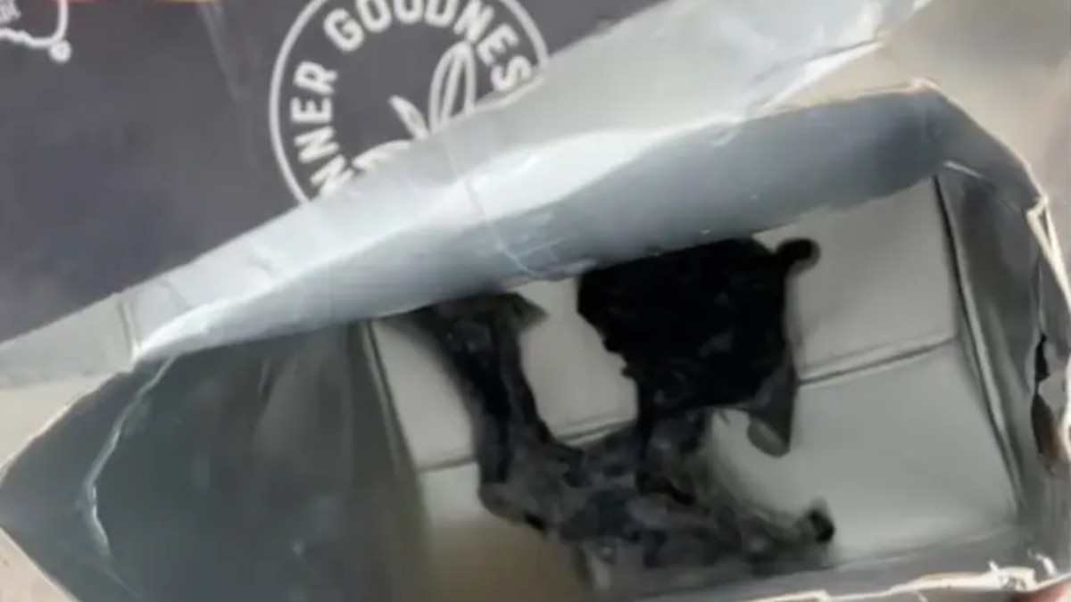 În cutie a fost găsită o bucată mare de mucegai