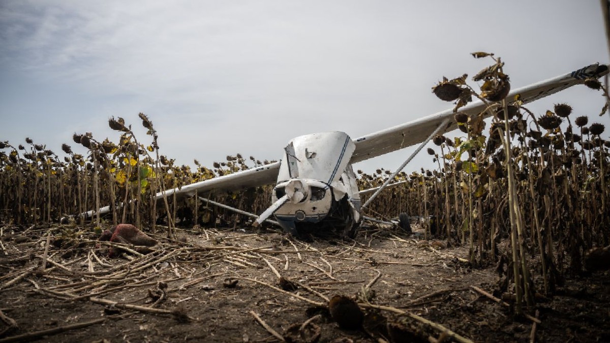 Avionul Cessna, în lanul de floarea-soarelui