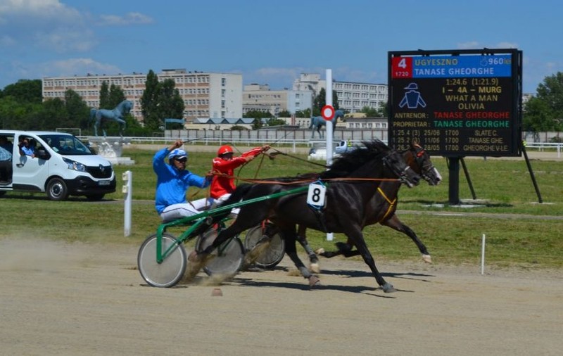 Shadow Effe a câştigat ”Premiul CSM Ploieşti” de pe hipodromul de la marginea orașului
