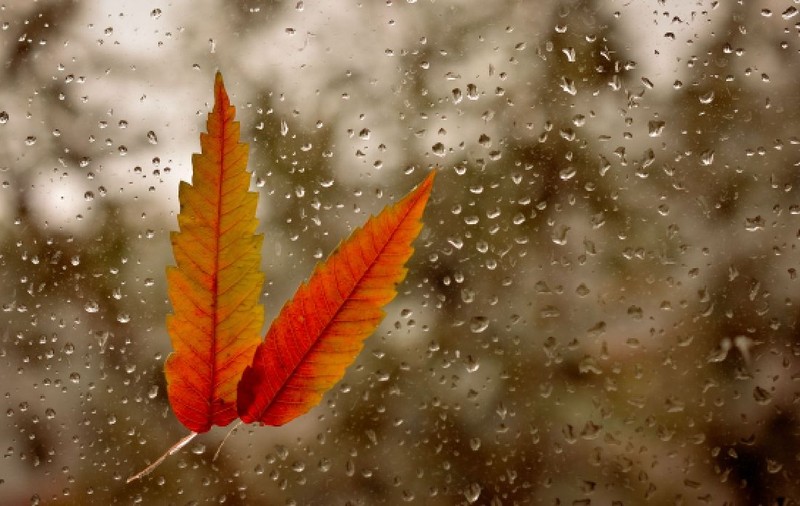Cum va fi vremea în perioada 3 - 16 noiembrie 2025. Meteorologii ANM au emis prognoza meteo pe două săptămâni