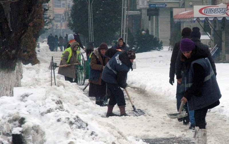 Propunere şocantă a Partidului Ecologist: să îi marcheze pe săraci!