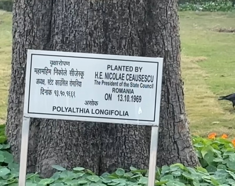 Ce a descoperit Dan Negru în vacanța în India: „Țineți-vă bine!”