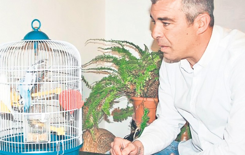 Jorge Costa, tehnicianul portughez de la CFR Cluj, încearcă să-şi înveţe papagalii să spună: "CFR campioană"