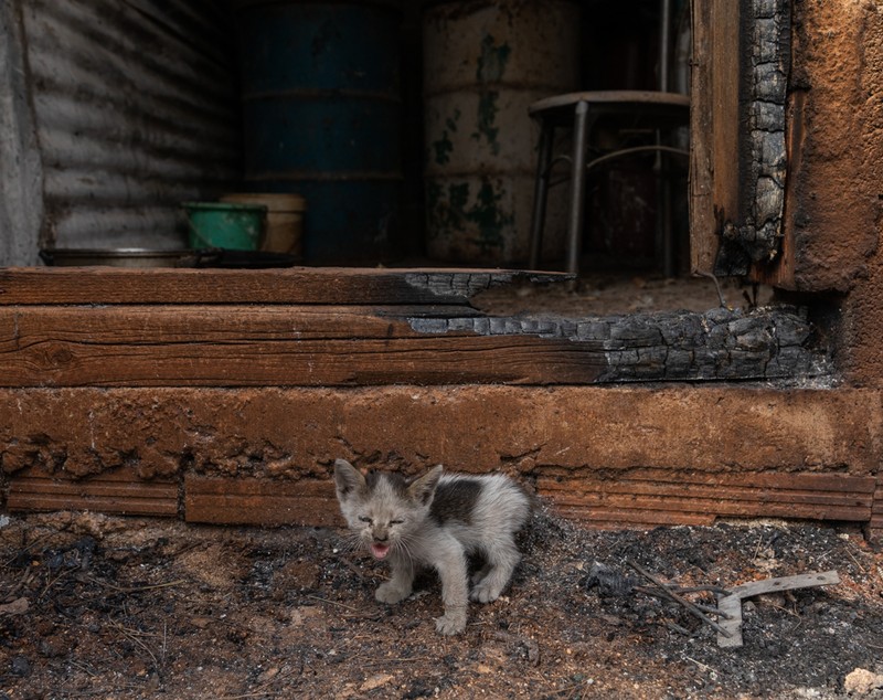 România trimite alți 142 de pompieri în Grecia să ajute la stingerea incendiilor