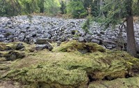 Permafrost Apuseni