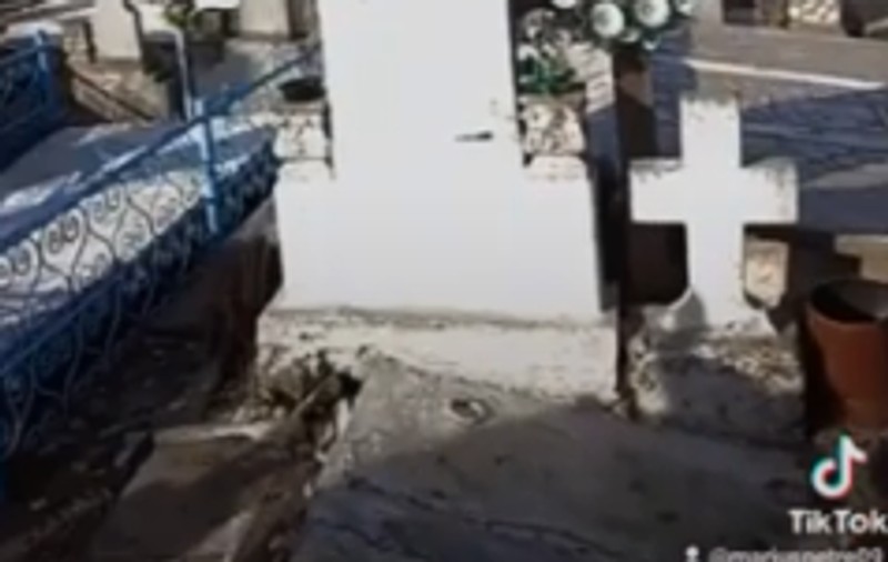 Poliția din Prahova a deschis dosar penal, după apariția unei filmări într-un cimitir, cu două persoane care dansează cu un schelet
