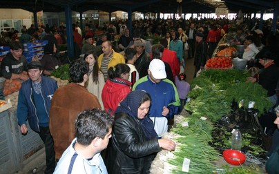 Arhiva foto