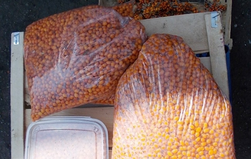 A apărut în piețe «ginsengul românesc»! Pe lângă legume, asigurați-vă că aveți pentru iarnă și cătină